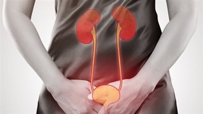 علامات الشفاء من التهاب المسالك البولية.. كم تستغرق مدة العلاج؟