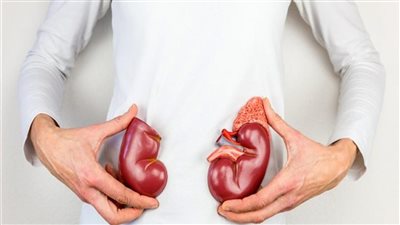 أسهل طريقة لتنظيف الكلى.. وصفتين بمكونات رخيصة ومتوفرة في كل منزل