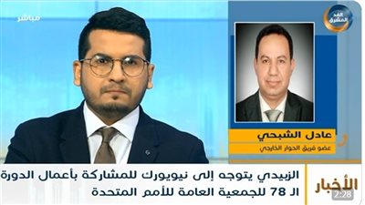 عادل الشبحي: زيارة الزبيدي إلى نيويورك تؤكد أن قضية الجنوب لا يمكن تجاوزها