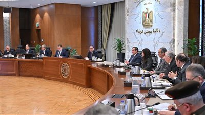 الحكومة تعد خطة عمل لتنمية الصادرات المصرية