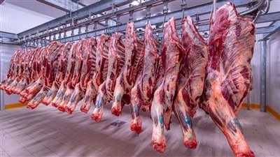 وزير التموين: ضخ 150 طن يومي من اللحوم الطازجة بــ 1500 منفذ متنوع
