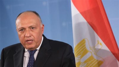 وزير الخارجية يثمن دور منظمة التعاون الإسلامي في دعم القضية الفلسطينية