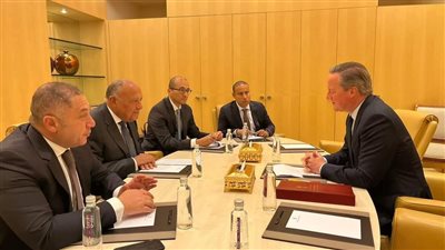 وزير الخارجية يدعو لوقف فوري لإطلاق النار في قطاع غزة بالمنتدى الاقتصادي