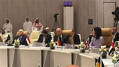 خلال مشاركته بالاجتماع التنسيقي العريي.. شكري: يجب دعم جهود تنفيذ حل الدولتين والاعتراف بالدولة الفلسطينية