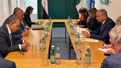 وزير الخارجية يبحث الأوضاع في غزة وجهود الاعتراف بالدولة الفلسطينية مع نظيره الأيرلندي