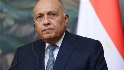 شكري يتوجه إلى روسيا للمشاركة في اجتماع وزراء خارجية تجمع بريكس