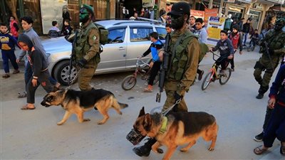 الأمم المتحدة: استخدام قوات الاحتلال للكلاب ضد الفلسطينيين انتهاك قحقوق الإنسان
