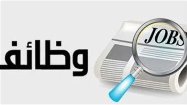 محافظة الجيزة توفر فرص عمل للشباب 2024.. التخصصات 