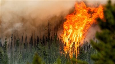 حرائق الغابات فى لوس أنجلوس تكلف شركات التأمين 20 مليار دولار