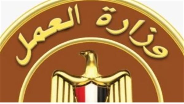 تفاصيل توفير 6200 فرصة عمل للشباب المصري