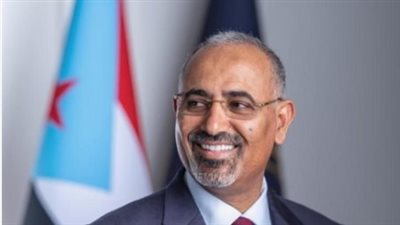 الزبيدي يهنئ الشباب بيومهم العالمي: أنتم عماد البناء والتنمية