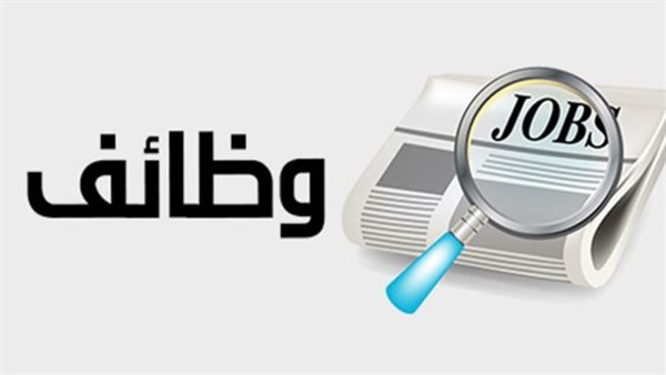 رواتب وظائف وزارة العمل.. والتخصصات المطلوبة 