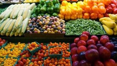 txt