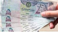 سعر الدرهم الإماراتي في البنك المركزي المصري