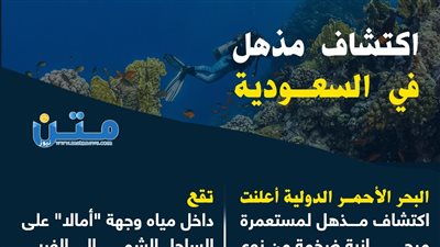 اكتشاف مذهل في السعودية (انفوجراف)