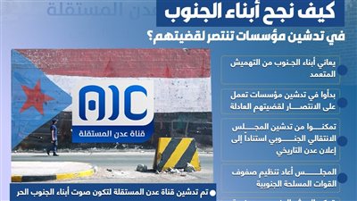 كيف نجح أبناء الجنوب في تدشين مؤسسات تنتصر لقضيتهم (إنفوجراف)