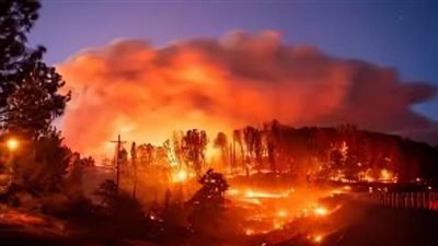 اليابان تعلن السيطرة بشكل نهائي على حرائق الغابات