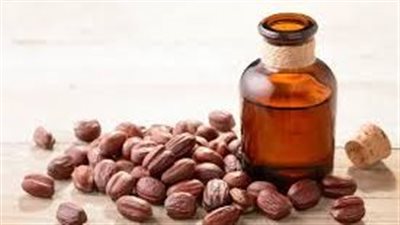 فوائد زيت الجوجوبا للشعر وفروة الرأس.. 3 استخدامات فعالة
