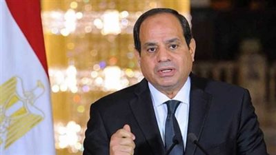 الرئيس السيسي: الممارسات الإسرائيلية تجاوزت أى منطق سياسى أو عسكرى