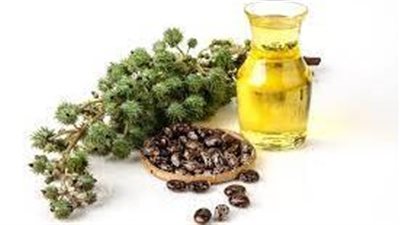 زيت الخروع لنمو الشعر.. 5 فوائد لا تخطر ببالك