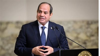 الرئيس السيسى: أمن الإقليم مسئولية جماعية ونرفض أى محاولات لتقسيم الصومال