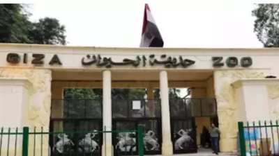 بشرى سارة للمواطنين.. الكشف الموعد الرسمي لافتتاح حديقة حيوان الجيزة 