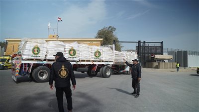 صندوق تحيا مصر وبيت الزكاة يعلنان دخول 780 طن مواد غذائية إلى غزة 