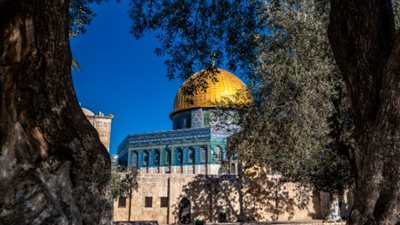 محافظة القدس تُحذّر من مخطط إسرائيلي للاستيلاء على عقارات لصالح التوسع الاستيطاني