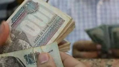 كيفية الاستعلام عن قيمة معاش شهر مايو 2026 عبر موقع الهيئة القومية