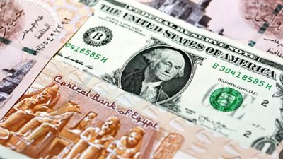 استقرار أسعار الدولار مقابل الجنيه المصري 