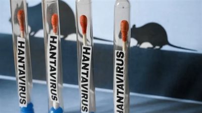 نسبة الوفيات الناتجة عن الإصابة بفيروس هانتا وفقًا لمركز CDC