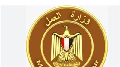 خريطة وظائف وزارة العمل مايو 2026.. التجمع والمقطم ومدينة نصر في المقدمة