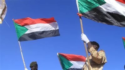 القرار العربي 9246: تحرك دبلوماسي عاجل لحماية المنشآت الحيوية والبنية التحتية بالسودان