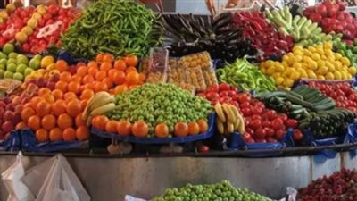 استقرار ملحوظ في الأسواق: كشف شامل بأسعار الخضار والفاكهة اليومية بجمهورية مصر