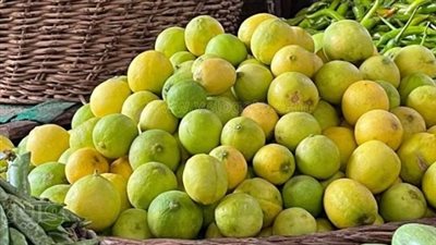التقرير اليومي لحركة الأسواق: أسعار الليمون البلدي والجزر والكوسة وسعر التفاح الأمريكي