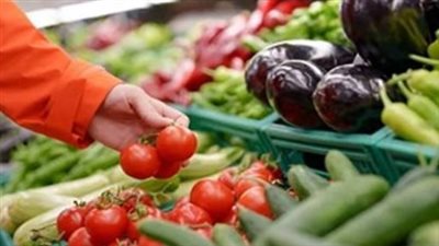 سوق العبور للجملة يكشف عن أسعار الخضار اليوم: الطماطم تسجل صعودًا جديدًا