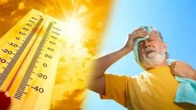 قبل الانكسار الشامل يوم الخميس: نصائح فنية هامة لتفادي أعفان الجذور وإجهاد النباتات بسبب الطقس