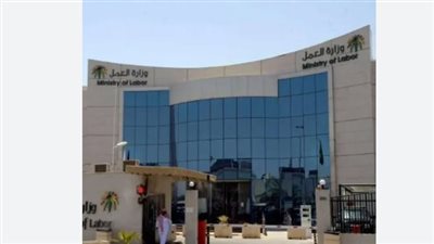آليات التمكين الوظيفي.. كيف يحول الضمان الاجتماعي بالسعودية الأسر من الرعاية إلى الإنتاج؟
