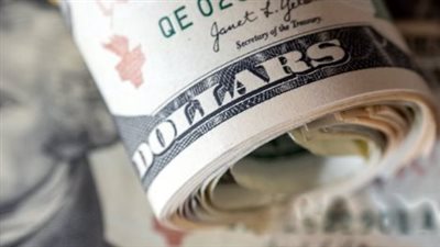 دليلك الشامل لأسعار الدولار في البنوك المصرية: البنك المركزي يحدد المؤشرات الرئيسية