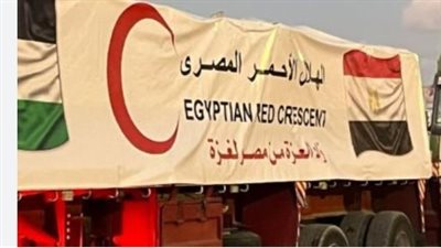 مصر تواصل تسيير قوافل 