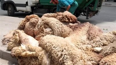 استعدادًا لعيد الأضحى 2026: خريطة العطلات الرسمية وضوابط قانون العمل الجديد