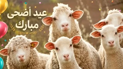 الدولة تستعد لعيد الأضحى 2026: ضخ كميات ضخمة من اللحوم وتخفيضات تصل إلى 40%