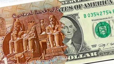تفاصيل أسعار الدولار في البنك المركزي والبنوك الحكومية