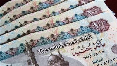 دور بنك ناصر الاجتماعي في دعم أصحاب المعاشات وتطبيق القرارات الجديدة