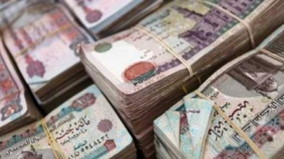 بشرى للموظفين: زيادة لا تقل عن 1100 جنيه في المرتبات بدءًا من يوليو المقبل