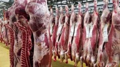 مجازر القاهرة تفتح أبوابها بالمجان: خدمات ذبح وإشراف بيطري متكامل للمواطنين في عيد الأضحى