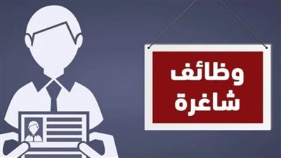 برواتب تصل إلى 25 ألف جنيه.. شروط وطريقة التقديم على وظائف وزارة العمل