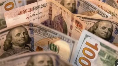 سعر الدولار الآن في مصر.. بيان رسمي بأسعار الشراء والبيع داخل القطاع المصرفي