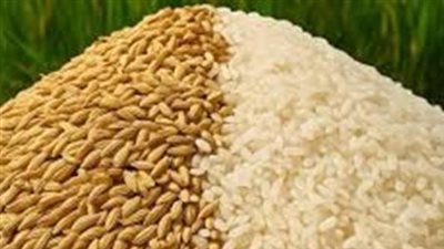 دليل المستهلك لأسعار الأرز في الأسواق المصرية اليوم 1 يونيو 2026