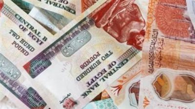 دليلك الشامل للاستعلام عن معاش تكافل وكرامة يونيو 2026 بالرقم القومي